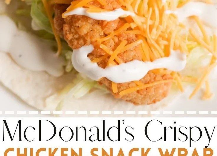 McDonald’s Snack Wrap featuring chicken, fresh veggies, and sauce wrapped in a tortilla.