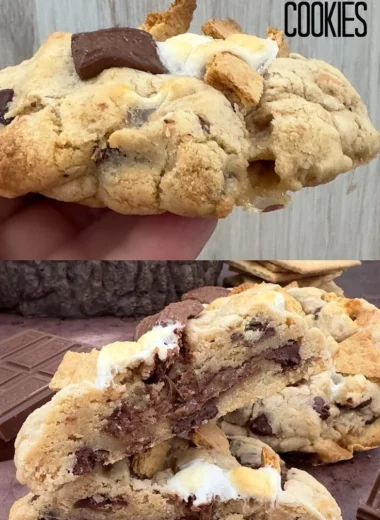 Cozy large gourmet s'mores cookies with chocolate and marshmallow filling