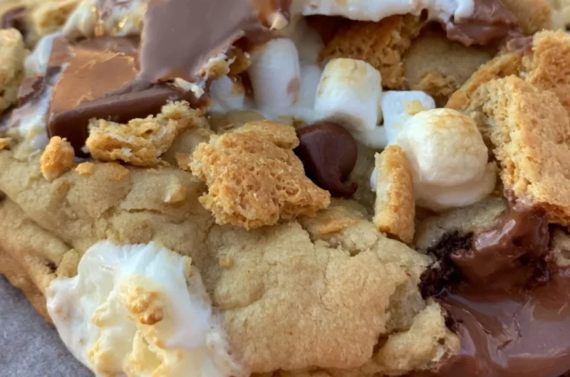 Cozy large gourmet s'mores cookies with chocolate and marshmallows