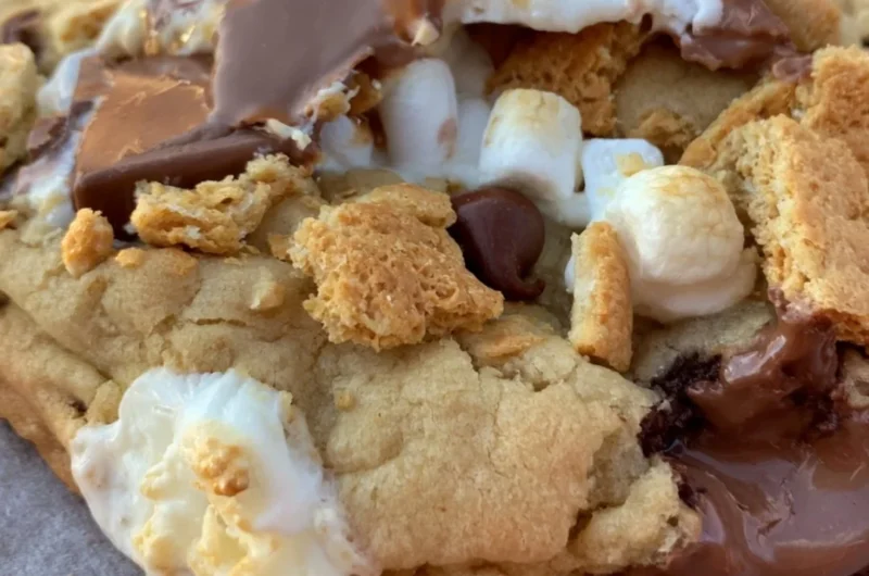 Cozy large gourmet s'mores cookies with chocolate and marshmallows