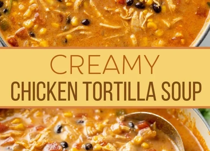 Bowl of creamy chicken tortilla soup garnished with toppings