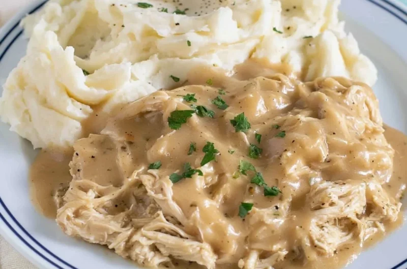 Bowl of shredded chicken in savory gravy served with rice